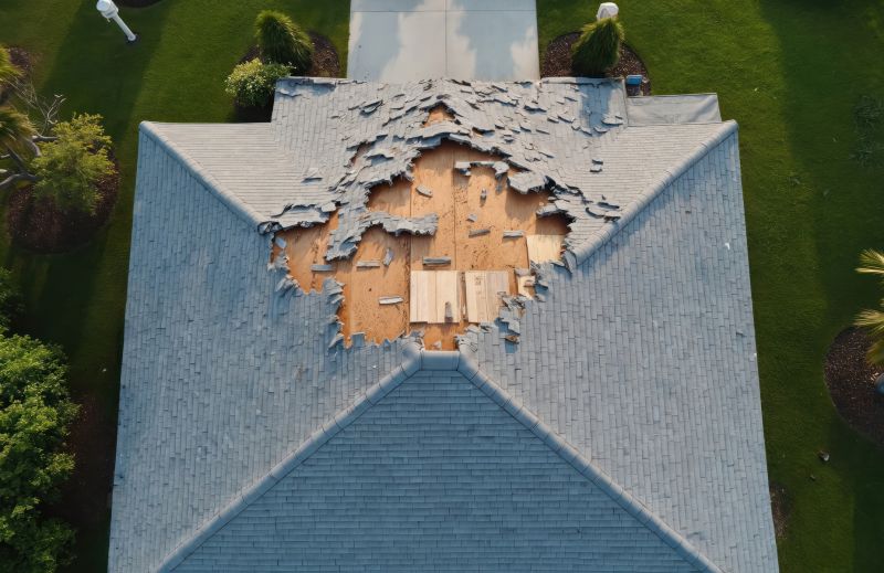 Damaged Roof Repair detail